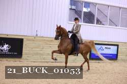 21_BUCK_01053 proof
