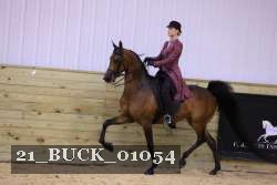 21_BUCK_01054 proof