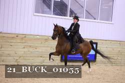 21_BUCK_01055 proof