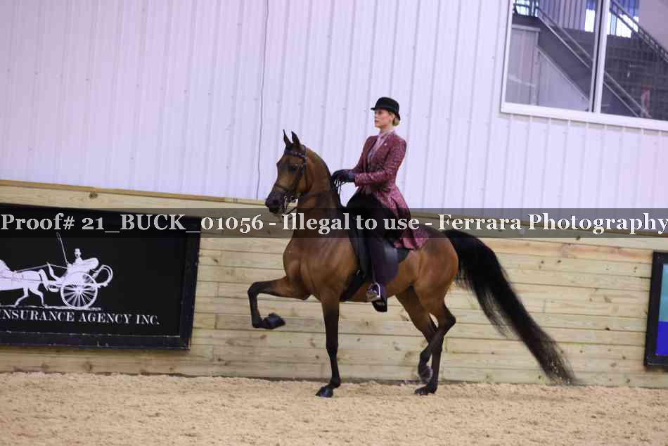 Proof 21_BUCK_01056