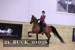 21_BUCK_01056 proof