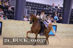 21_BUCK_01057 proof