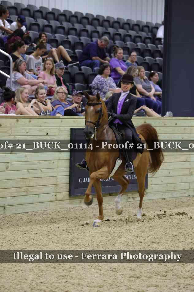 Proof 21_BUCK_01114