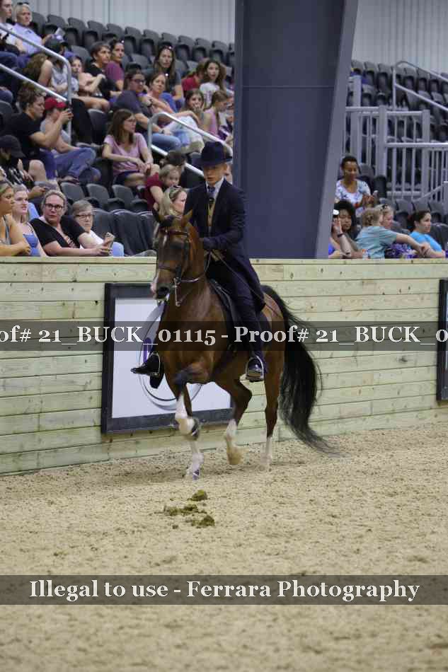 Proof 21_BUCK_01115