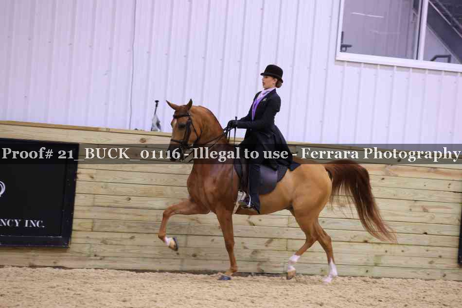Proof 21_BUCK_01116