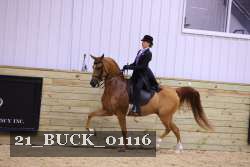 21_BUCK_01116 proof