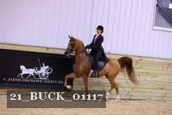 21_BUCK_01117 proof