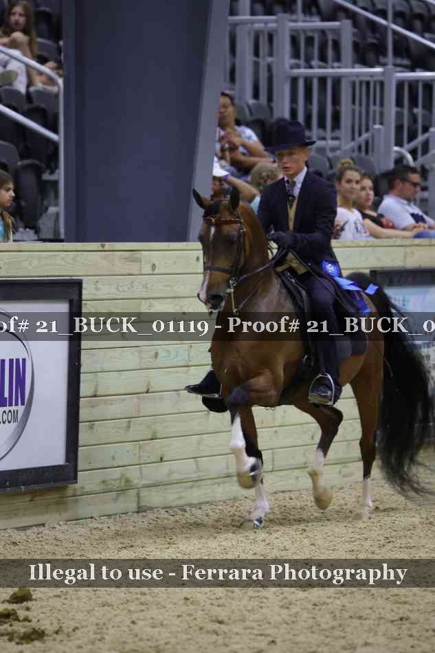 Proof 21_BUCK_01119