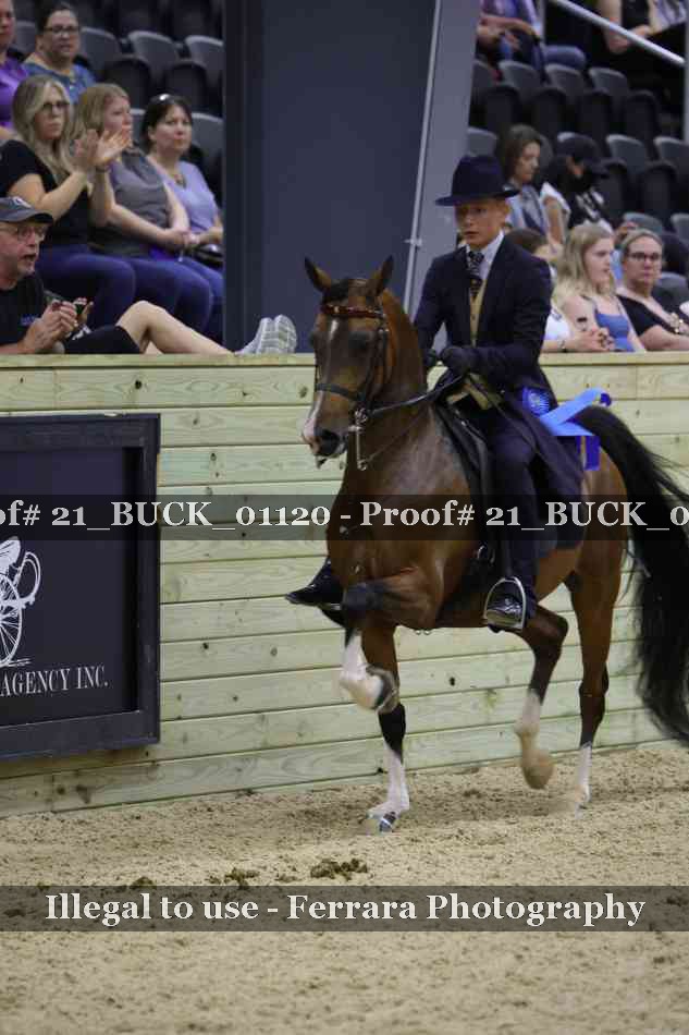 Proof 21_BUCK_01120
