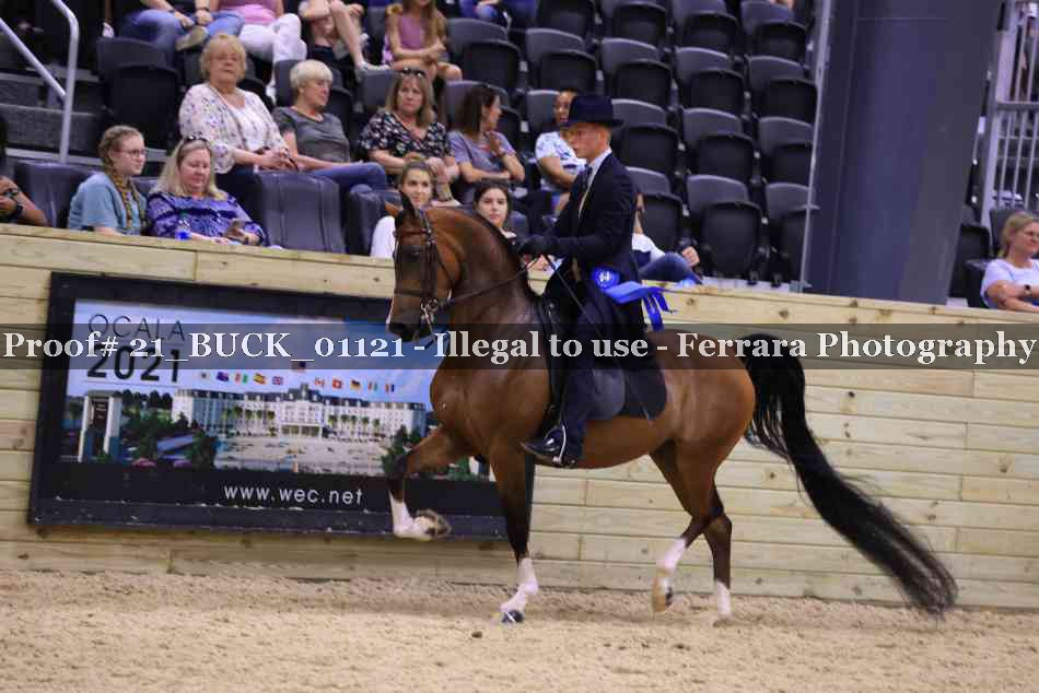 Proof 21_BUCK_01121