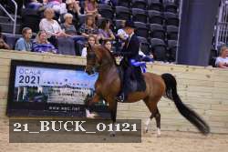 21_BUCK_01121 proof