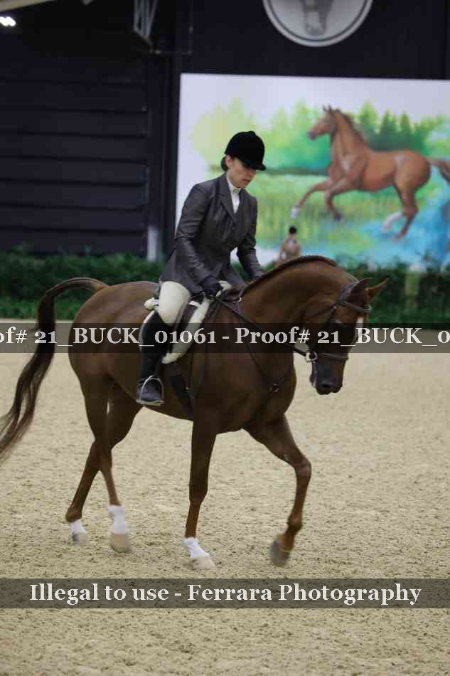 Proof 21_BUCK_01061