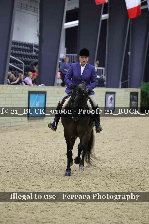 Proof 21_BUCK_01062