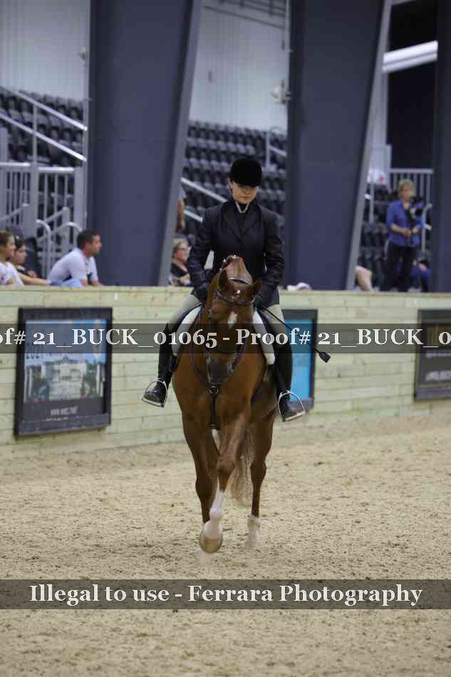 Proof 21_BUCK_01065