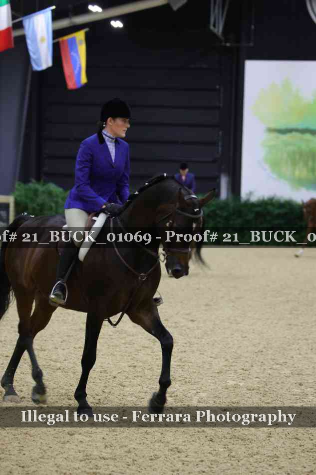 Proof 21_BUCK_01069