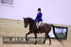 21_BUCK_01071 proof