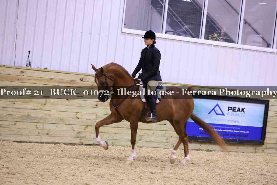 Proof 21_BUCK_01072
