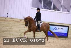 21_BUCK_01072 proof