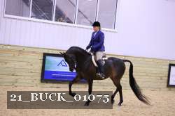 21_BUCK_01075 proof