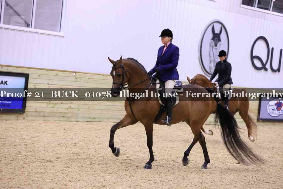Proof 21_BUCK_01078