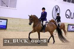 21_BUCK_01078 proof