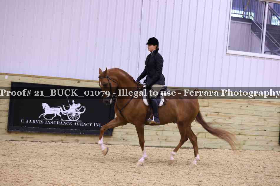 Proof 21_BUCK_01079
