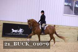 21_BUCK_01079 proof