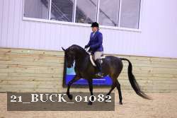 21_BUCK_01082 proof
