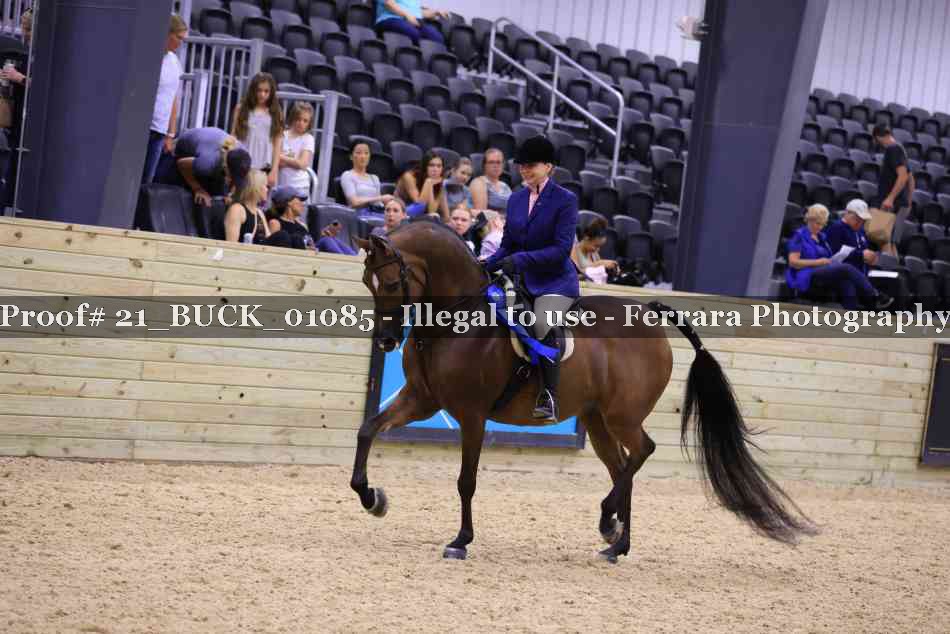 Proof 21_BUCK_01085