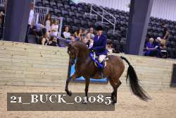 21_BUCK_01085 proof