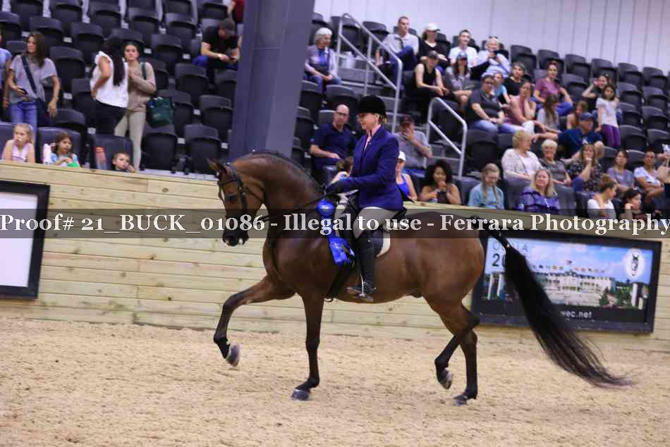 Proof 21_BUCK_01086