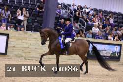 21_BUCK_01086 proof