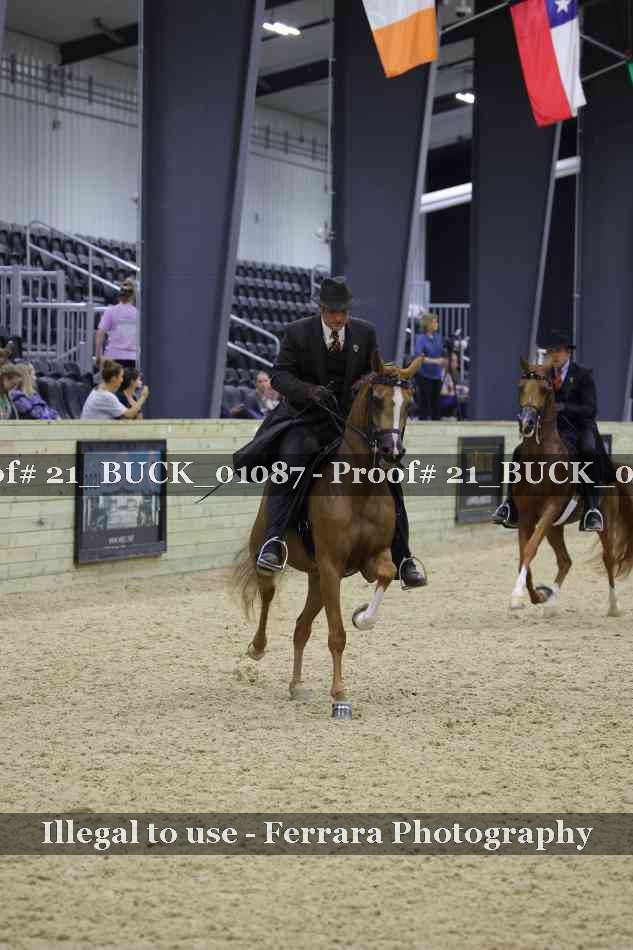 Proof 21_BUCK_01087