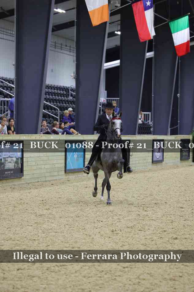 Proof 21_BUCK_01088