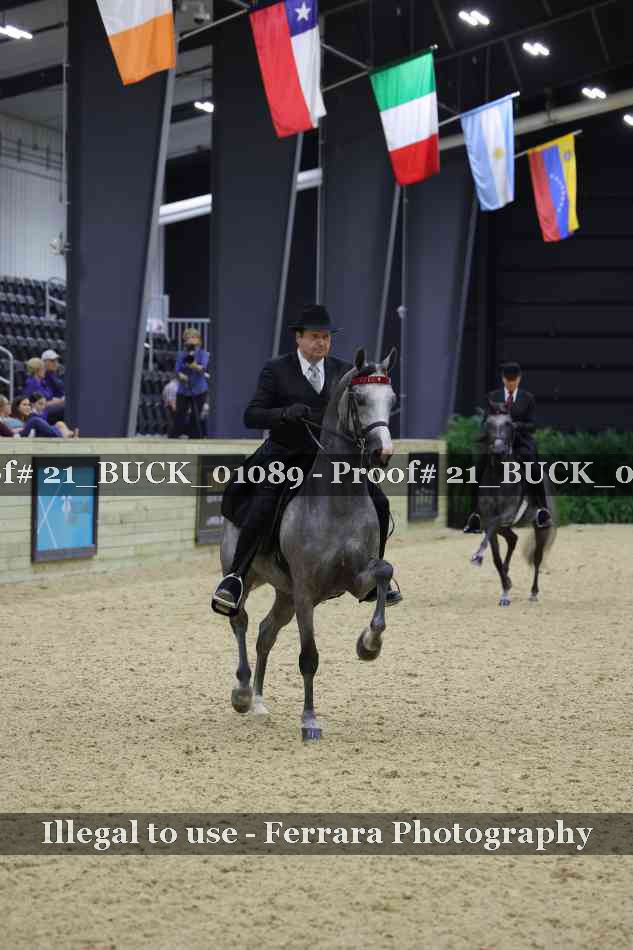 Proof 21_BUCK_01089