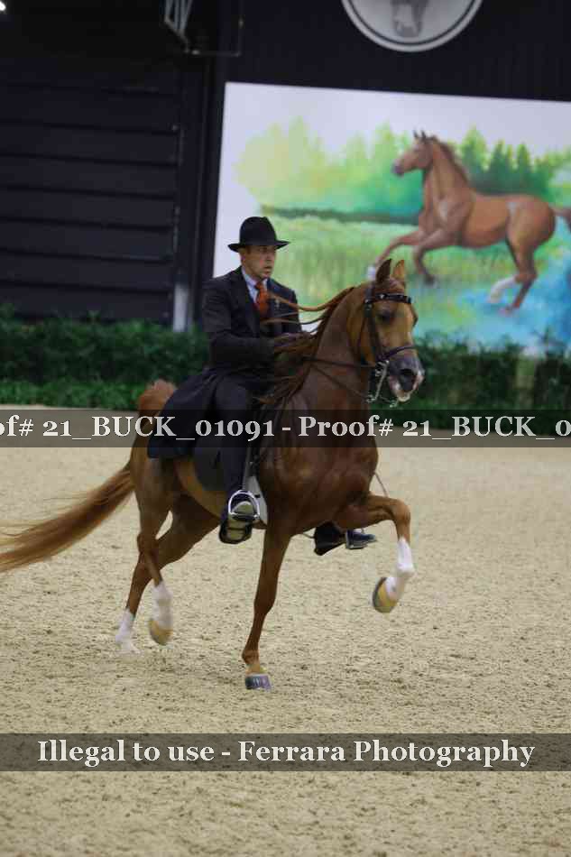 Proof 21_BUCK_01091