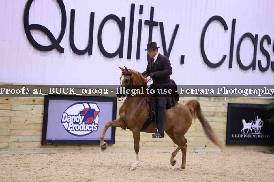 Proof 21_BUCK_01092