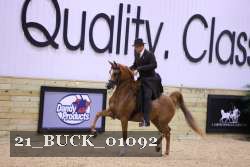 21_BUCK_01092 proof