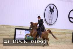 21_BUCK_01093 proof