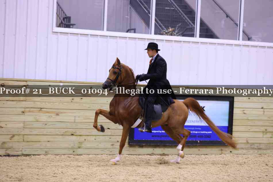 Proof 21_BUCK_01094