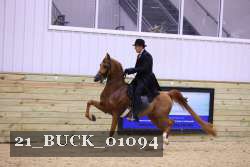 21_BUCK_01094 proof