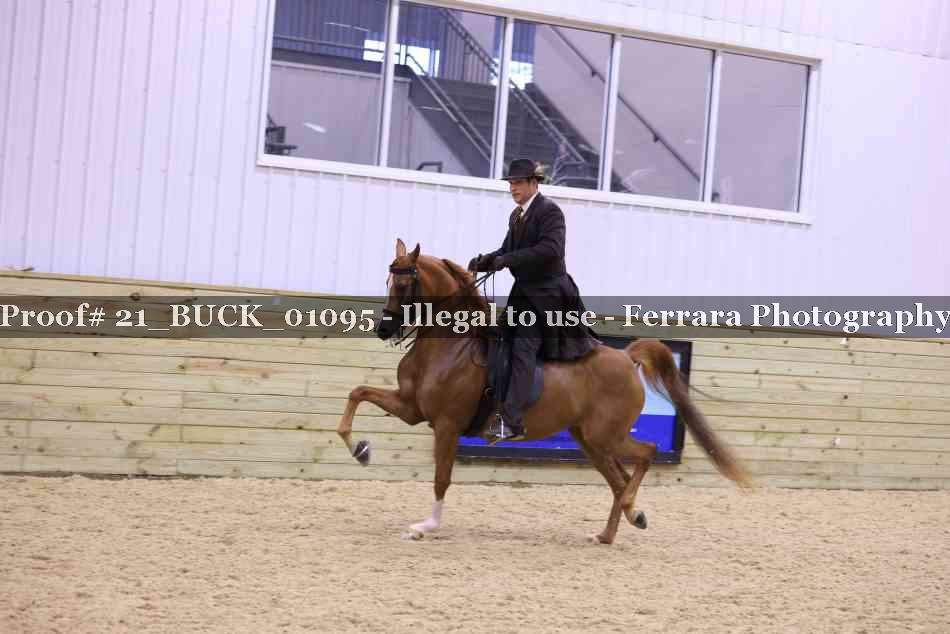 Proof 21_BUCK_01095