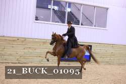 21_BUCK_01095 proof