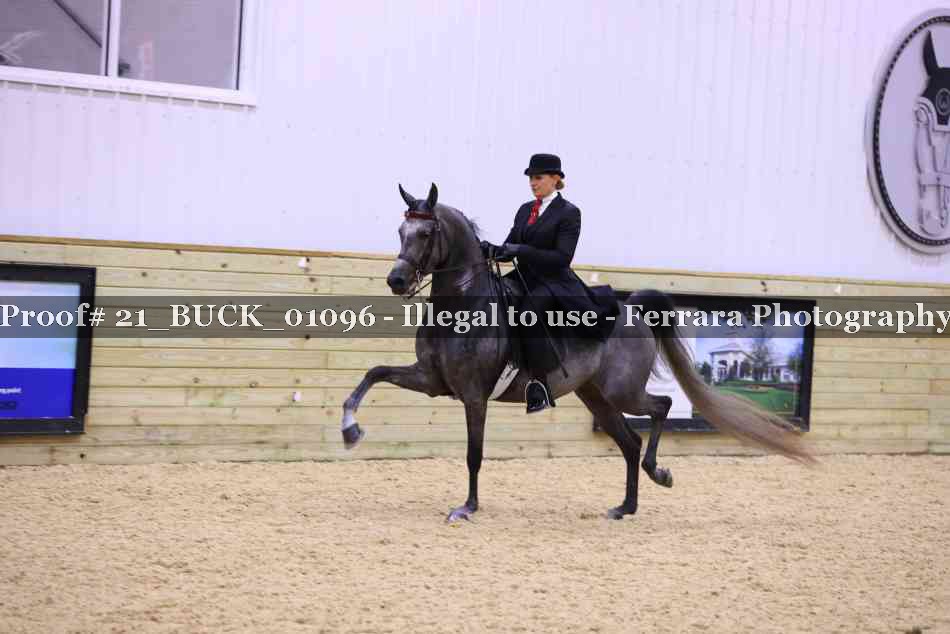 Proof 21_BUCK_01096