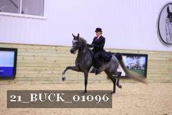21_BUCK_01096 proof
