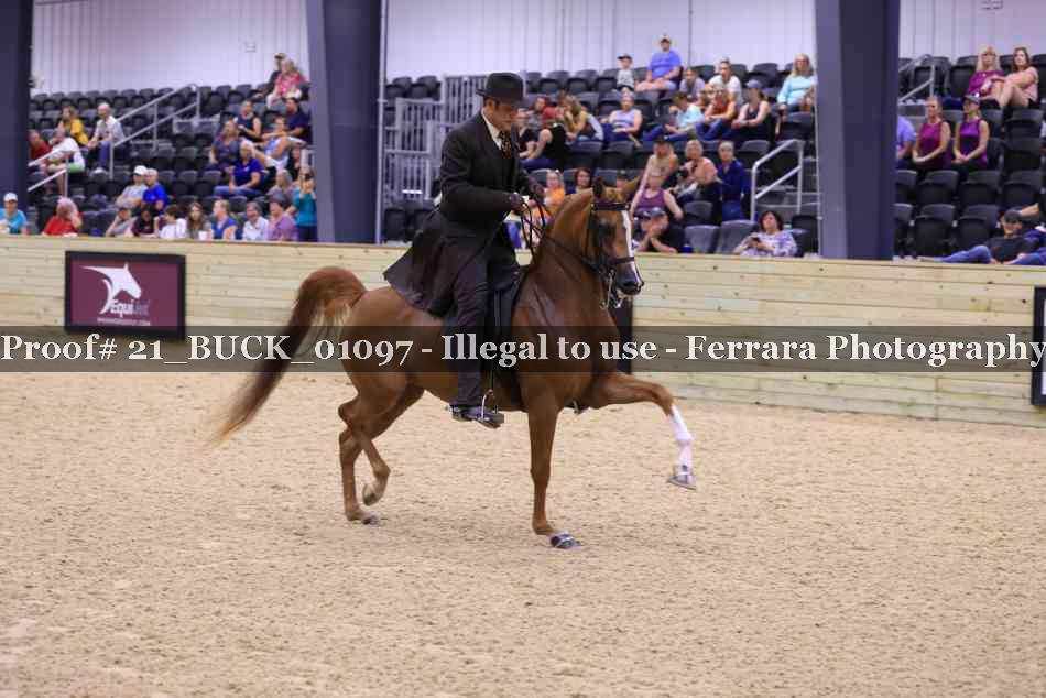 Proof 21_BUCK_01097