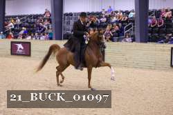 21_BUCK_01097 proof
