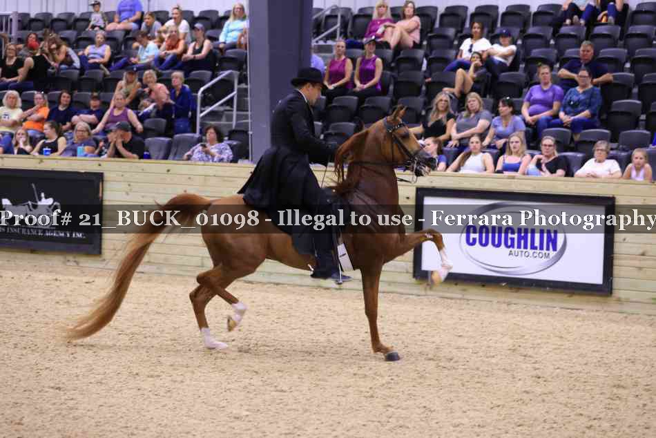 Proof 21_BUCK_01098