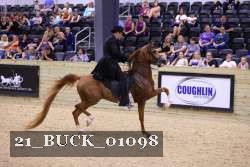 21_BUCK_01098 proof
