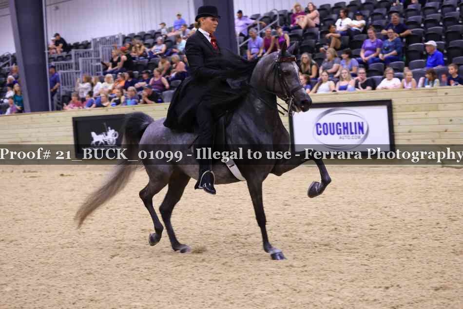 Proof 21_BUCK_01099